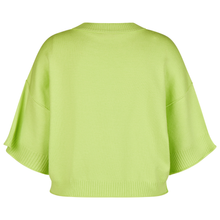 Load image into Gallery viewer, Light green poncho on a white background