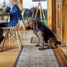 Load image into Gallery viewer, A brown curly-haired dog wearing a navy blue long-sleeve shirt sits on a patterned runner rug in a warm, wood-floored room, reaching toward a woman seated on a white chair.