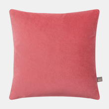 Load image into Gallery viewer, Outline of cushion