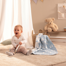 Load image into Gallery viewer, Biederlack Lovely & Sweet Throw Lovely Elephants