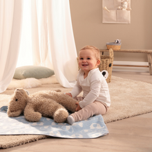 Load image into Gallery viewer, Biederlack Lovely & Sweet Throw Lovely Elephants