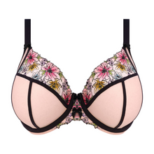 Load image into Gallery viewer, Elomi Carrie Plunge Bra | Pink
