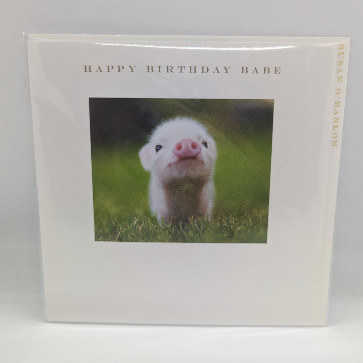 Happy Birthday Babe | Susan O'Hanlon Card