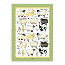 Load image into Gallery viewer, Sheep Breeds Cotton Tea Towel
