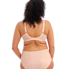 Load image into Gallery viewer, Elomi Morgan Cameo Rose Side Support Bra

