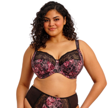 Load image into Gallery viewer, Elomi Morgan Dark Romance Bra
