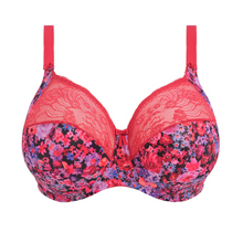 Load image into Gallery viewer, Elomi Morgan Bra | Sunset Meadow
