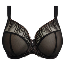 Load image into Gallery viewer, Black lace bra on a white background
