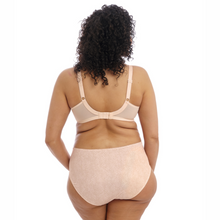 Load image into Gallery viewer, Elomi Morgan Full Brief | Cameo Rose
