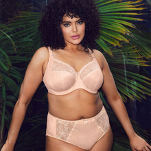 Load image into Gallery viewer, Elomi Morgan Full Brief | Cameo Rose
