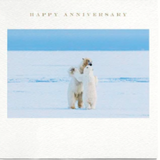 Happy Anniversary Polar Bears | Susan O' Hanlon Card