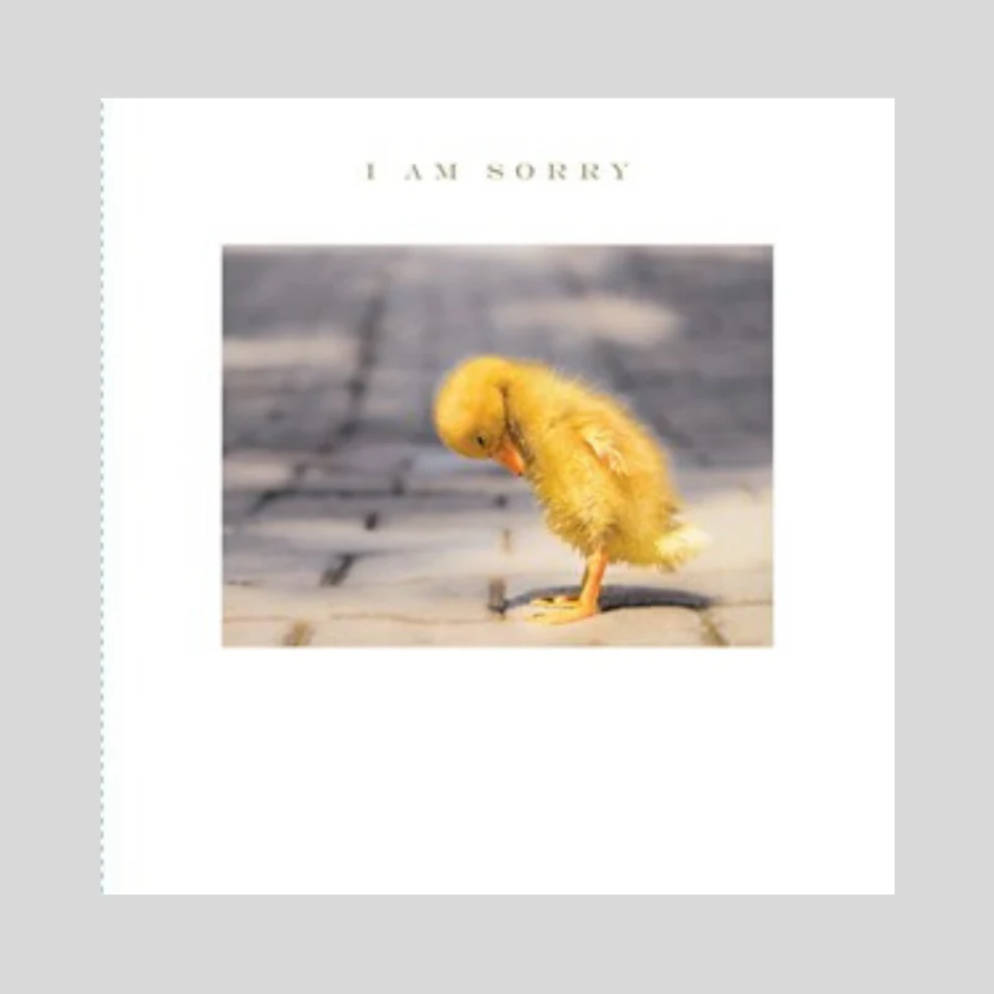 Home Interiors New Arrivals