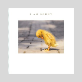 Front graphic of I Am Sorry Card-Susan O Hanlon Card, with a sad duckling on the front.