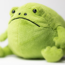 Load image into Gallery viewer, Green plush frog toy on a white background
