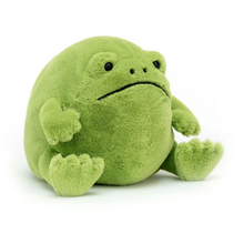 Load image into Gallery viewer, A green plush frog toy with a sad, downturned mouth and small black eyes, photographed on a clean white background.
