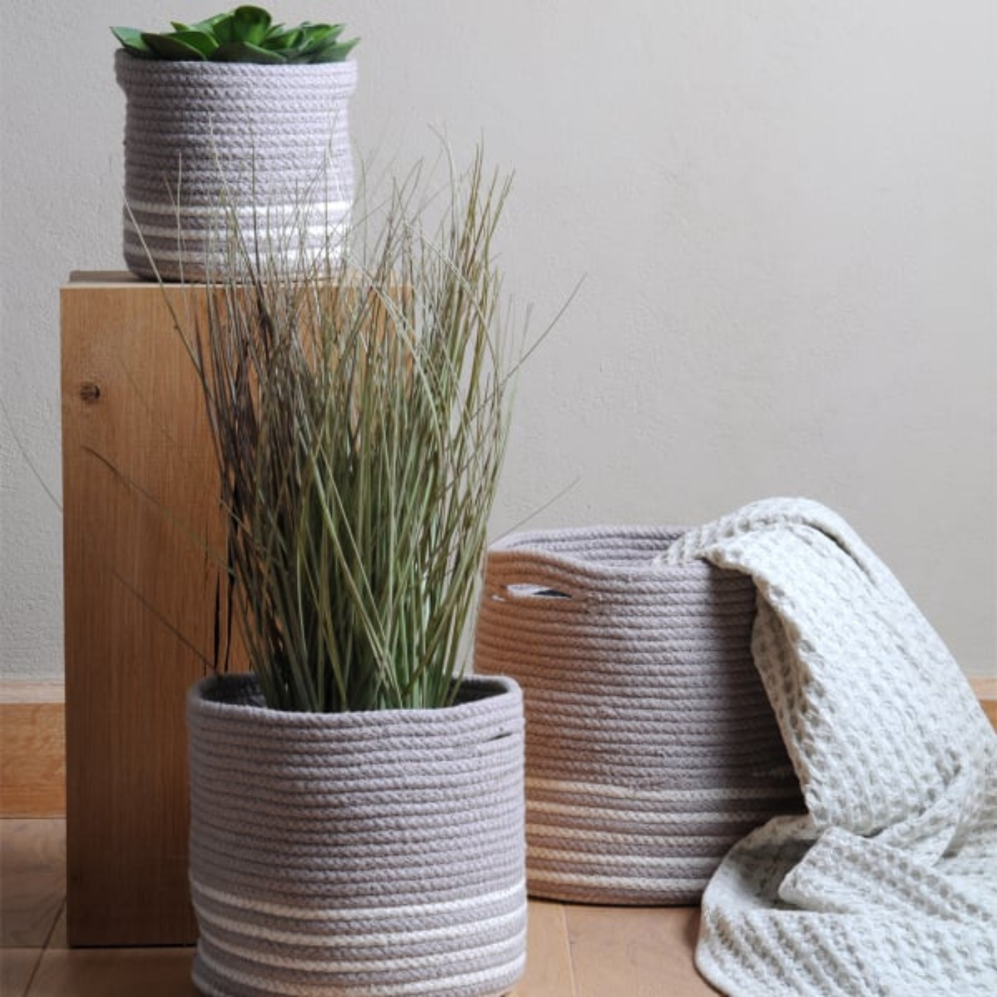 Set of 3 planters in soft grey with white stripe, 3 sizes from Large, Medium and small in a lifestyle display