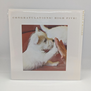 Congratulations! High Five! | Susan O'Hanlon Card