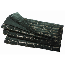 Load image into Gallery viewer, Clarke &amp; Clarke Wedgwood Renaissance Throw | Emerald
