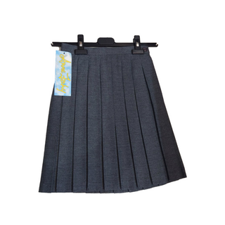 School Skirt Pleated