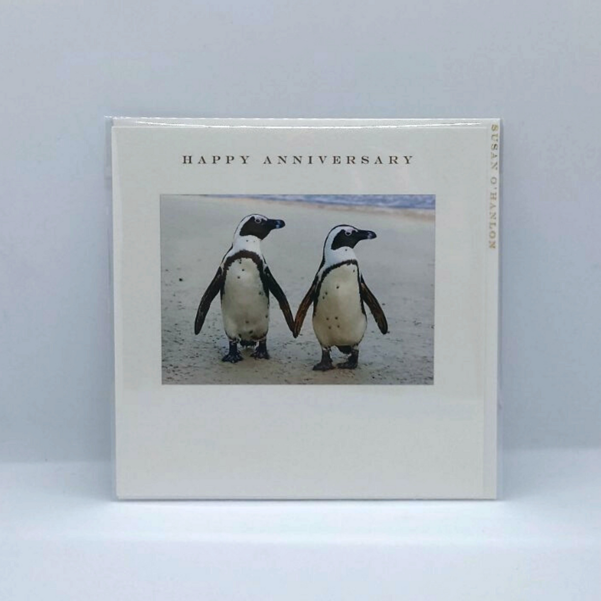 Happy Anniversay Penguin Card | Susan O'Hanlon Card
