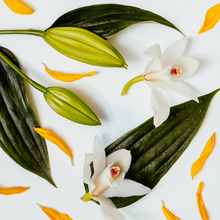 Load image into Gallery viewer, Brooke &amp; Shoals Refill | White Lily &amp; Ylang Ylang
