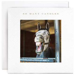 'Laughing Horse So Many Candles' Birthday | Susan O'Hanlon Card