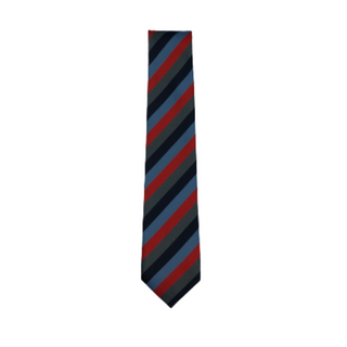 St Oliver Plunkett's National School Tie Regular