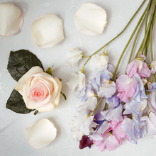 Load image into Gallery viewer, Brooke &amp; Shoals Refill | Sweet Pea &amp; Tea Rose
